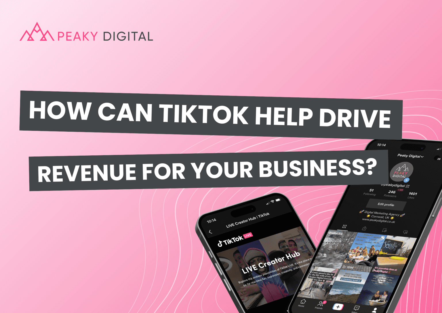 how-can-tiktok-help-drive-revenue-for-your-business-peaky-digital